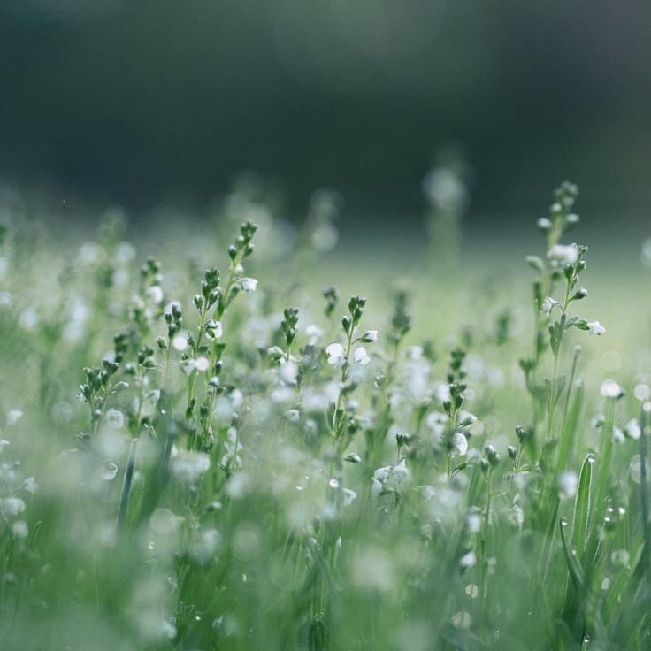 Nature travel hero image